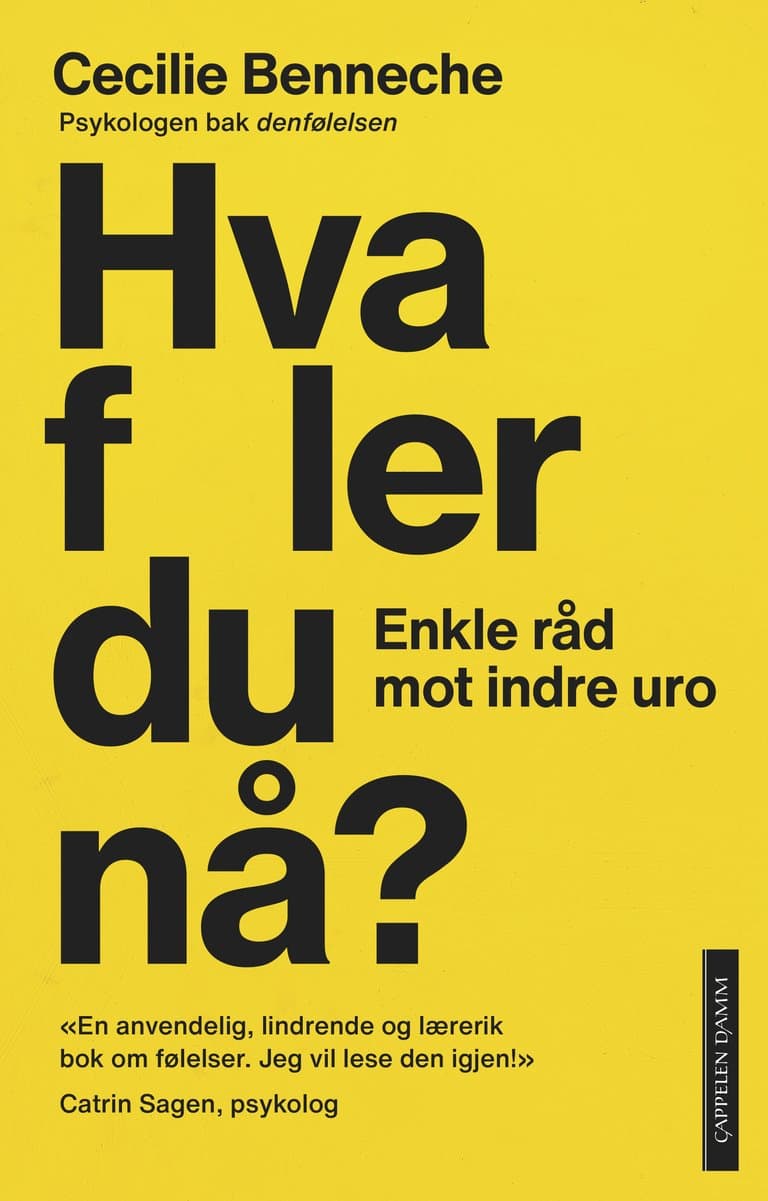 Omslag Hva føler du nå? av Cecilie Benneche (Innbundet)