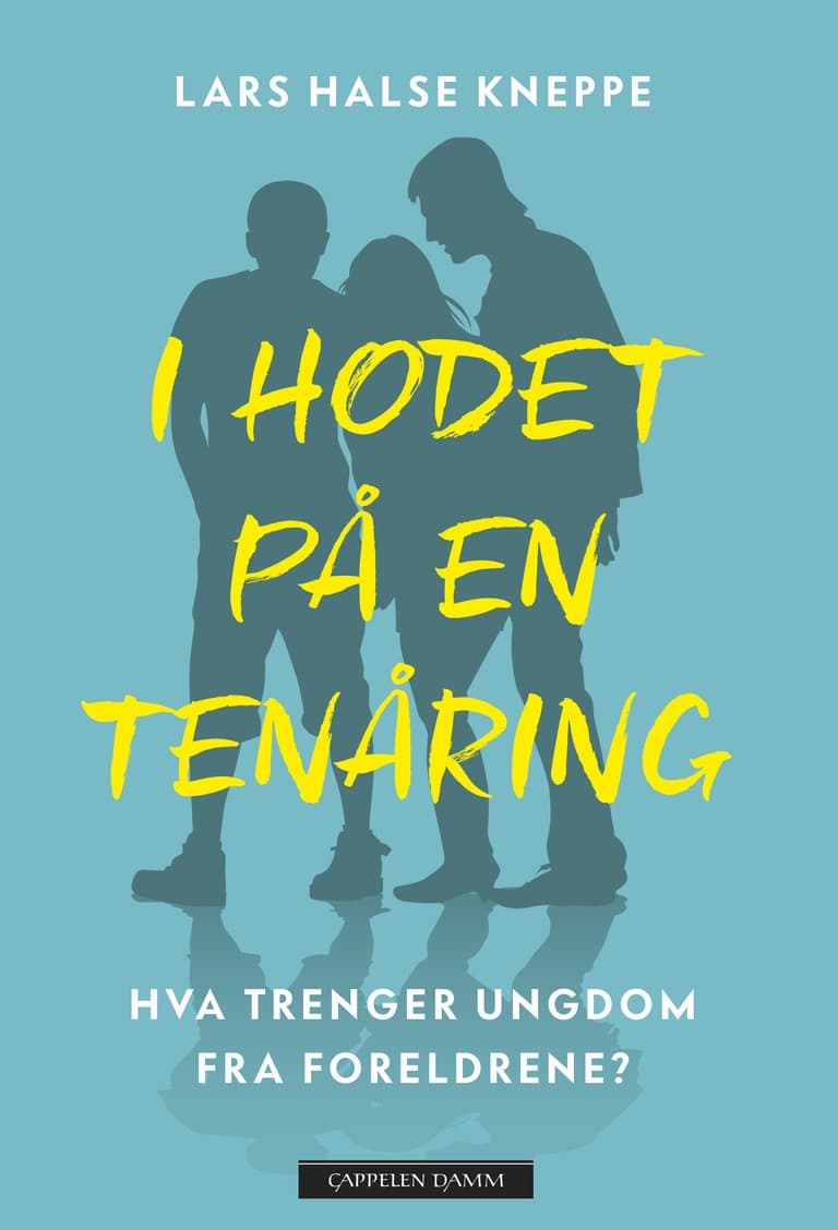 Omslag I hodet på en tenåring av Lars Halse Kneppe (Innbundet)