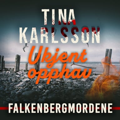 Omslag av "Ukjent opphav"