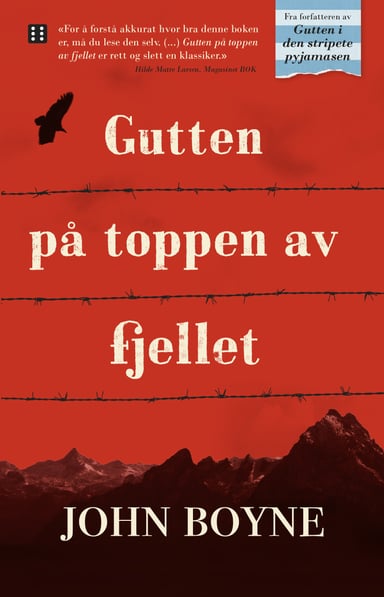 Omslag av "Gutten på toppen av fjellet"