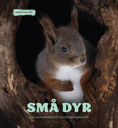 Små dyr