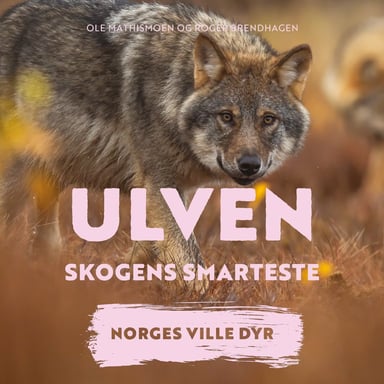 Omslag av "Ulven - Skogens smarteste"
