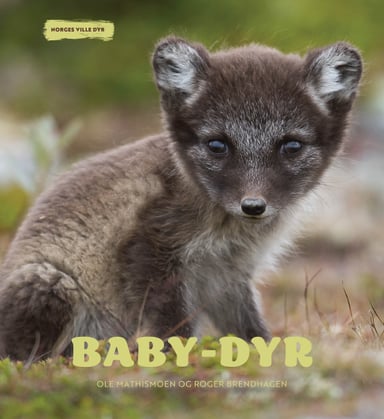 Omslag av "Baby-dyr"