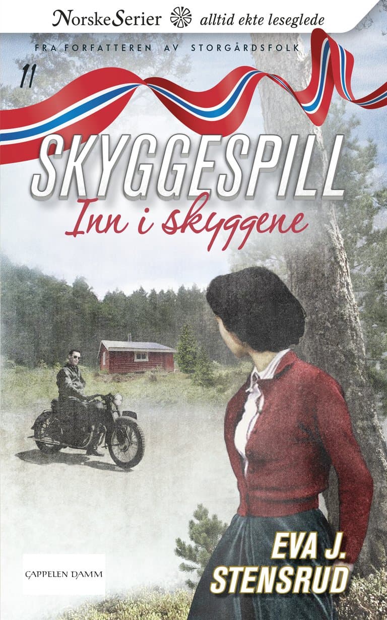 Omslag Inn i skyggene av Eva J. Stensrud (Ebok)