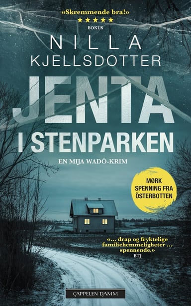 Omslag av "Jenta i Stenparken"