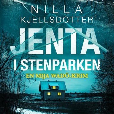 Omslag av "Jenta i Stenparken"