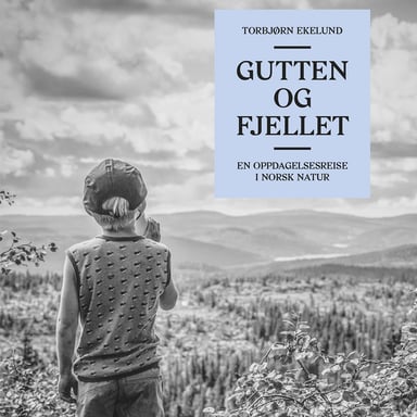 Omslag av "Gutten og fjellet"
