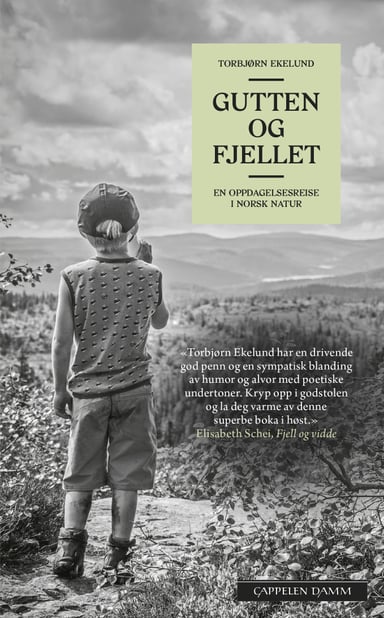 Omslag av "Gutten og fjellet"
