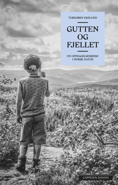 Omslag av "Gutten og fjellet"