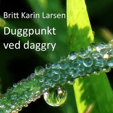 Omslag av "Duggpunkt ved daggry"