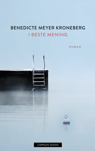 Omslag av "I beste mening"