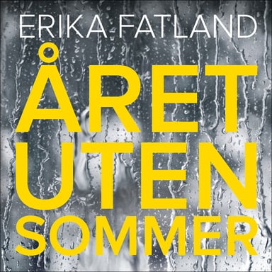 Omslag av "Året uten sommer"