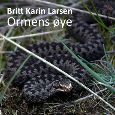 Omslag av "Ormens øye"