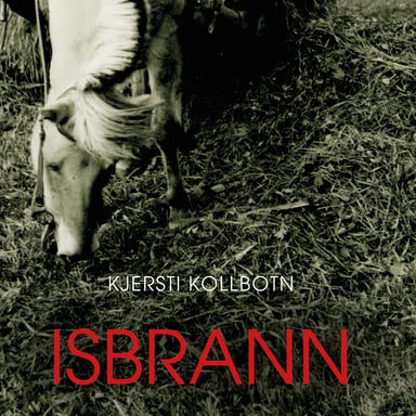 Omslag av "Isbrann"