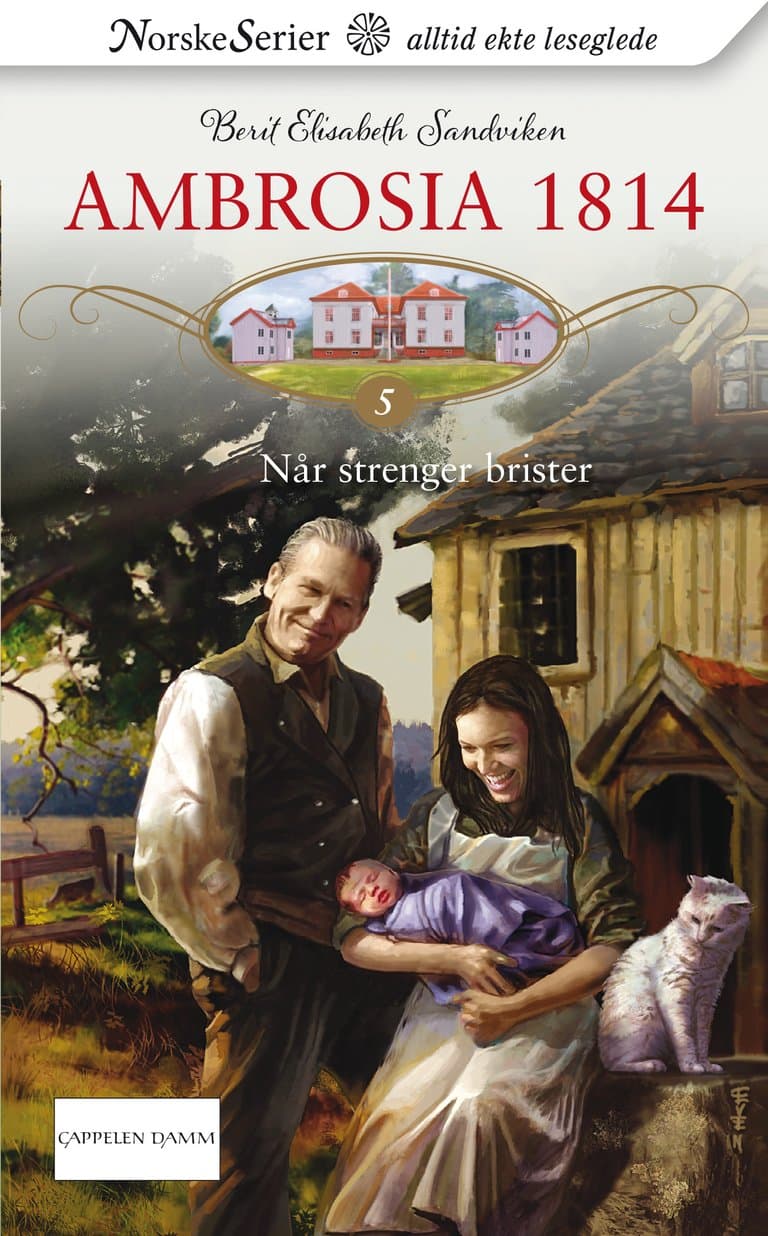 Omslag Når strenger brister av Berit Elisabeth Sandviken (Ebok)