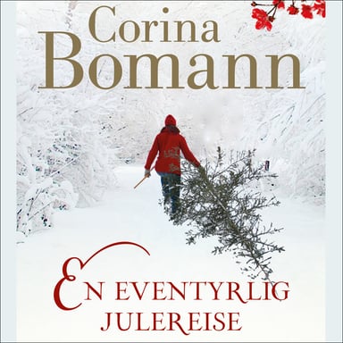 Omslag av "En eventyrlig julereise"