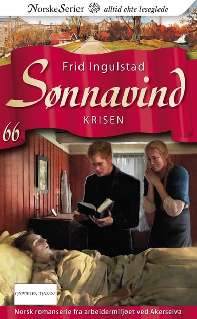 Omslag av "Krisen"