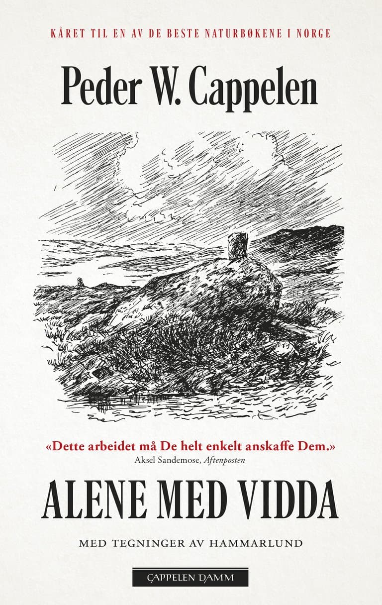 Omslag Alene med Vidda av Peder W. Cappelen (Heftet)