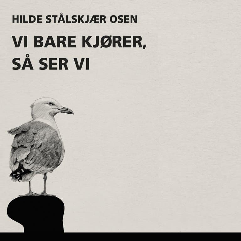 Omslag Vi bare kjører, så ser vi av Hilde Stålskjær Osen (Lydbok)
