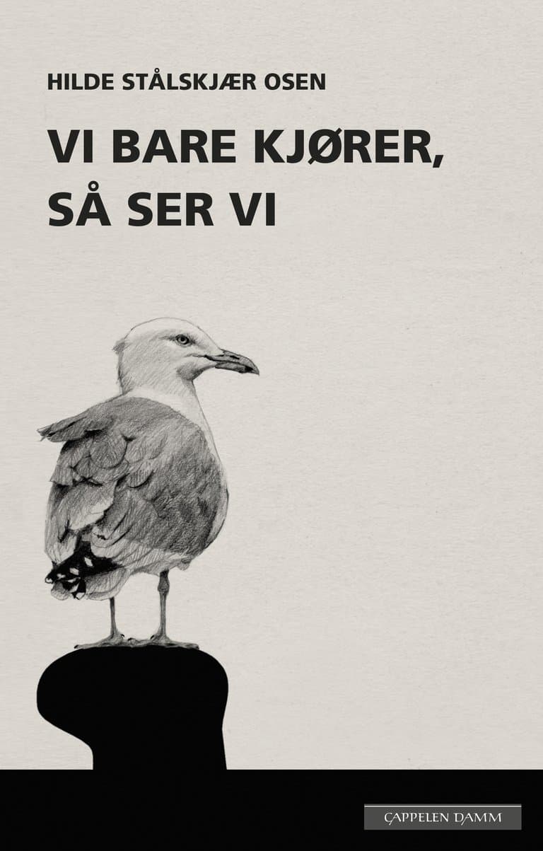 Omslag Vi bare kjører, så ser vi av Hilde Stålskjær Osen (Innbundet)