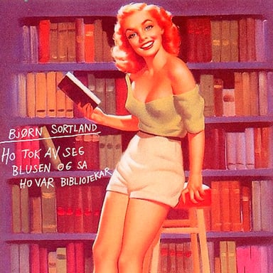 Omslag av "Ho tok av seg blusen og sa ho var bibliotekar"