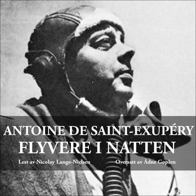 Omslag av "Flyvere i natten"