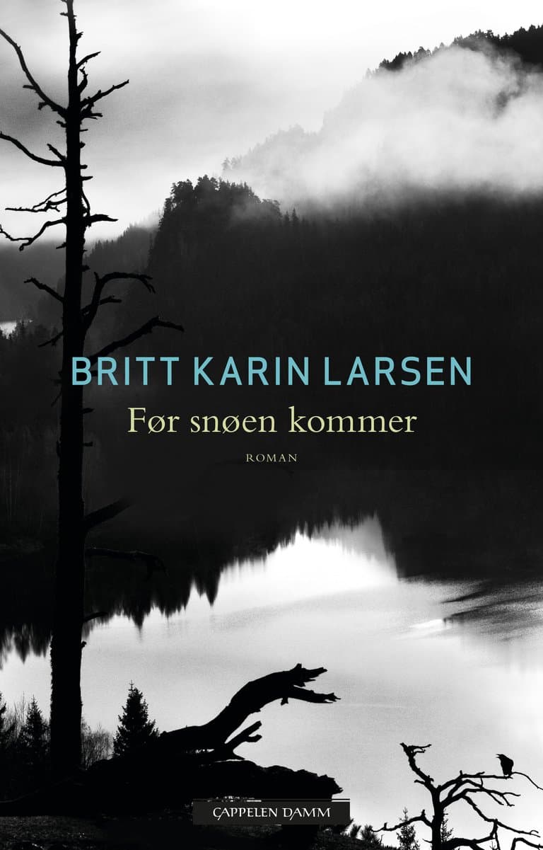 Omslag Før snøen kommer av Britt Karin Larsen (Ebok)