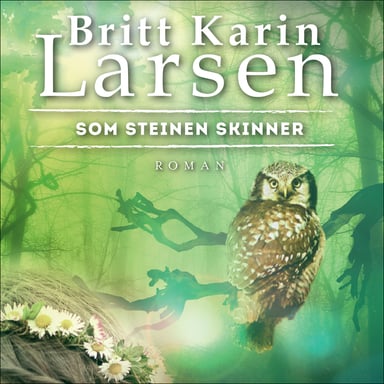 Omslag av "Som steinen skinner"
