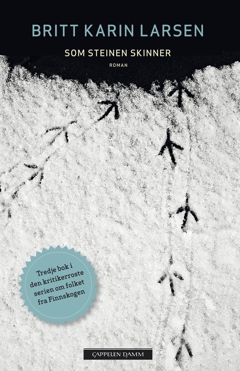 Omslag Som steinen skinner av Britt Karin Larsen (Ebok)