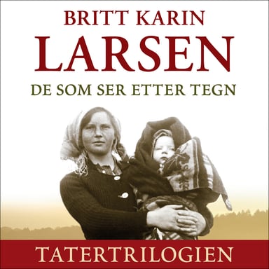 Omslag av "De som ser etter tegn"