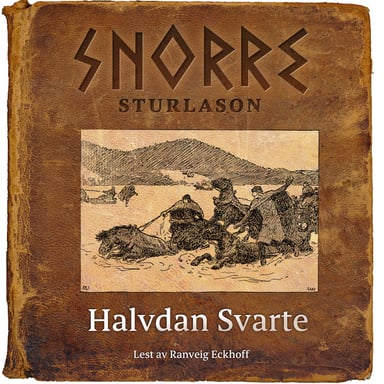 Omslag av "Halvdan Svarte"