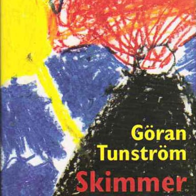 Omslag av "Skimmer"