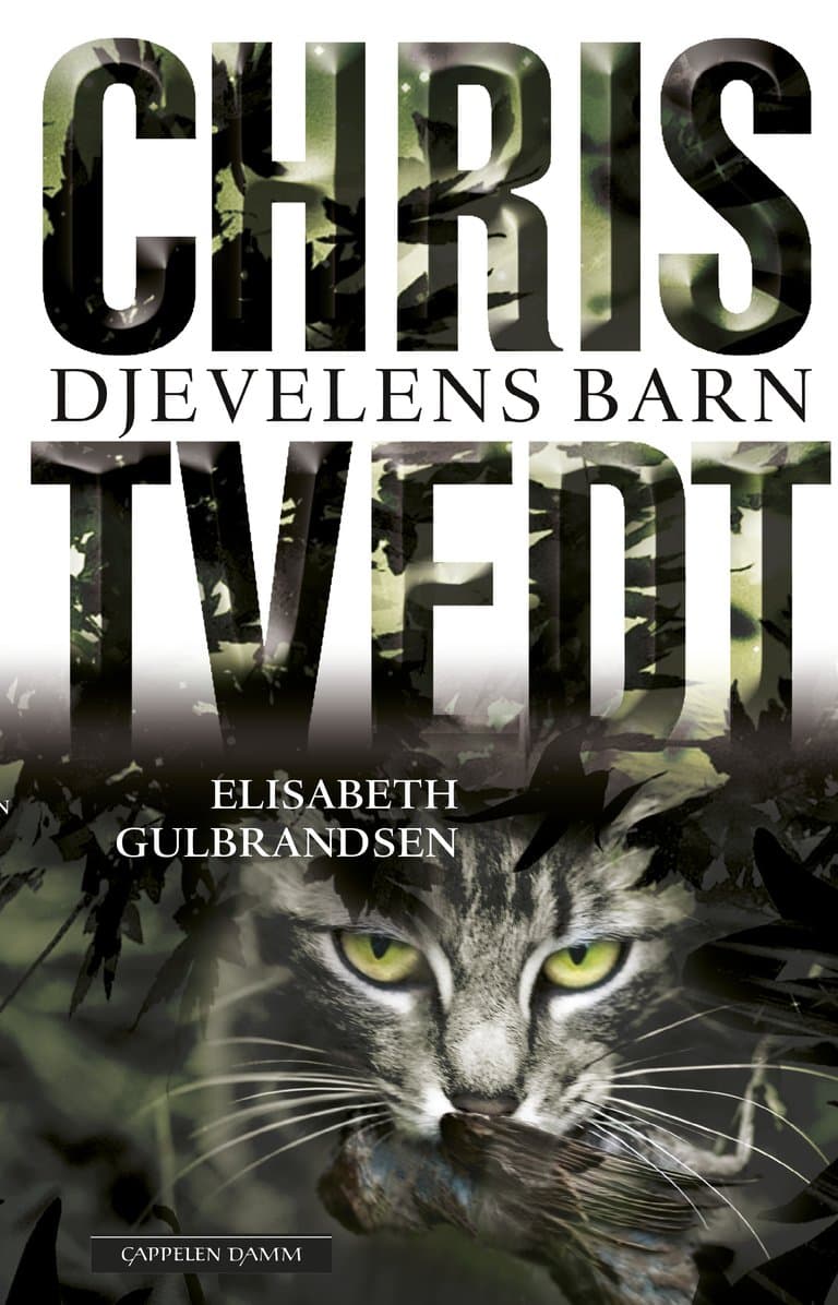Omslag Djevelens barn av Chris Tvedt og Elisabeth Gulbrandsen (Innbundet)
