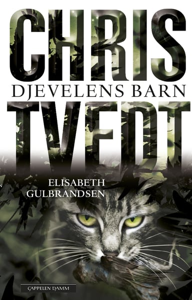 Omslag av "Djevelens barn"