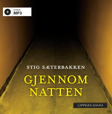 Omslag av "Gjennom natten"