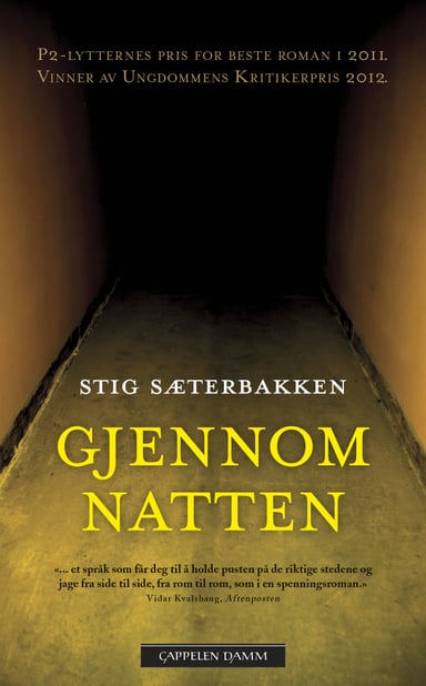 Omslag av "Gjennom natten"