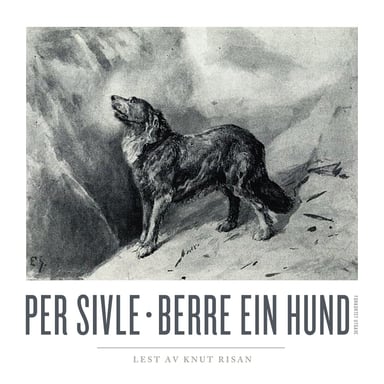 Omslag av "Berre ein hund"