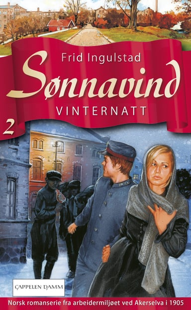 Omslag av "Vinternatt"