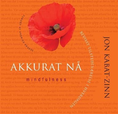 Omslag av "Akkurat nå"