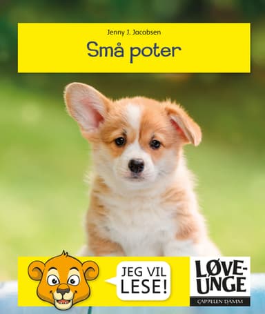 Løveunge - Små poter
