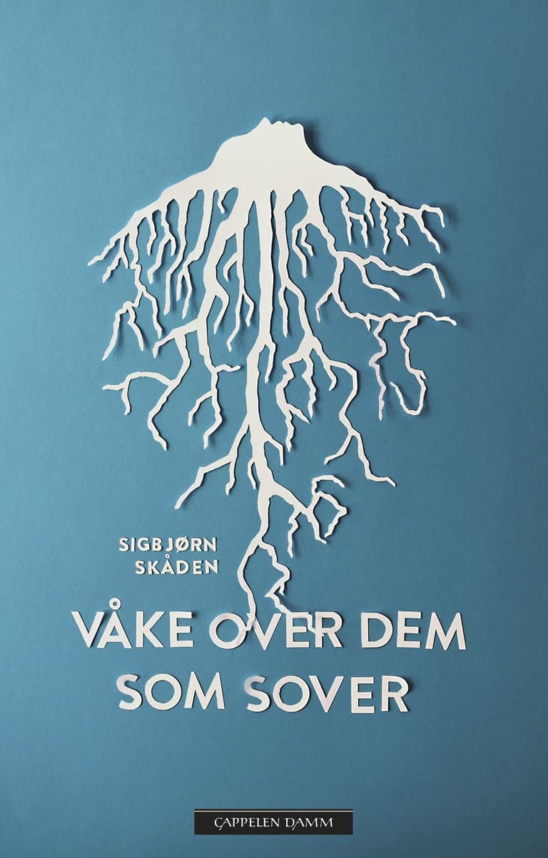 Omslag Våke over dem som sover av Sigbjørn Skåden (Ebok)