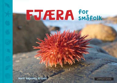 Omslag av "Fjæra for småfolk"