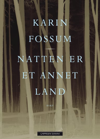 Omslag av "Natten er et annet land"