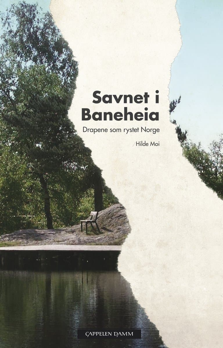 Omslag Savnet i Baneheia av Hilde Moi (Innbundet)