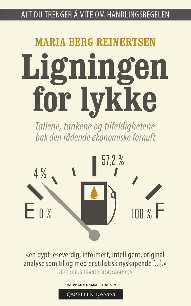 Omslag Ligningen for lykke av Maria Berg Reinertsen (Heftet)