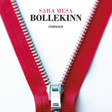 Omslag av "Bollekinn"