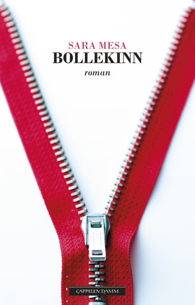 Omslag av "Bollekinn"