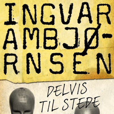 Omslag av "Delvis til stede"