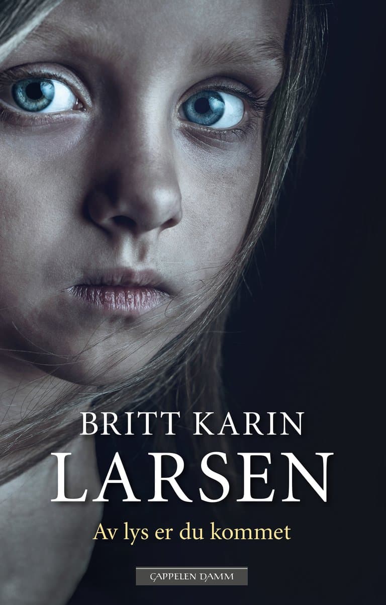 Omslag Av lys er du kommet av Britt Karin Larsen (Innbundet)