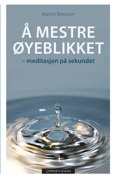 Omslag av "Å mestre øyeblikket"